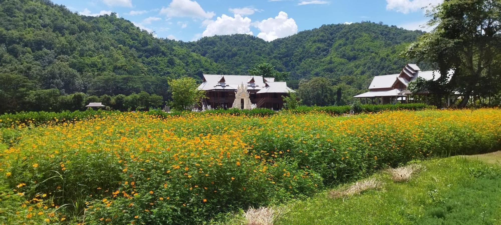 La Villa De Madame Su Chiang Mai Exterior photo